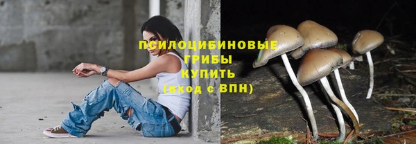 прущие крисы Алексин