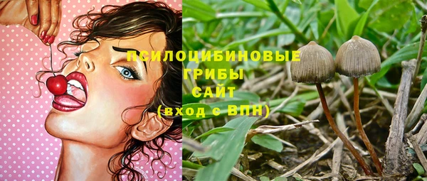 хмурый Алзамай
