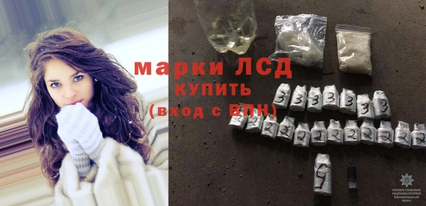 хмурый Алзамай